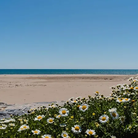Charmante Climatisee A Narbonne-plage, Proche Mer, 6 Personnes, 3 Chambres, Parking Prive - Fr-1-409-120 Villa