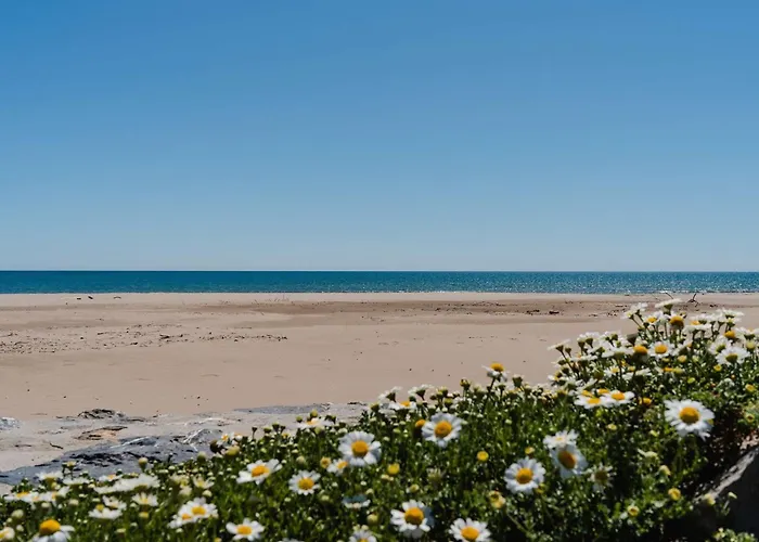Charmante Climatisee A Narbonne-plage, Proche Mer, 6 Personnes, 3 Chambres, Parking Prive - Fr-1-409-120 Villa